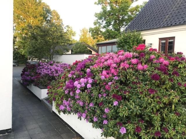 DreamCenter Ballerup Boulevard Exterior foto